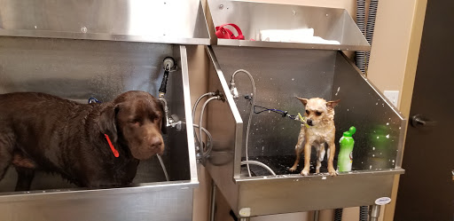 Pet Supply Store «Lemos Feed & Pet Supply», reviews and photos, 1320 Main St, Morro Bay, CA 93442, USA