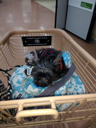 Pet Supply Store «Petco Animal Supplies», reviews and photos, 420 Harry L Dr #2, Johnson City, NY 13790, USA