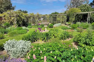 Filey Bird Garden and Animal Park image