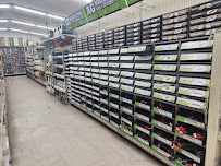 Dinuba Lumber Co - Photo 6 - Car repair in Dinuba, CA, Visalia