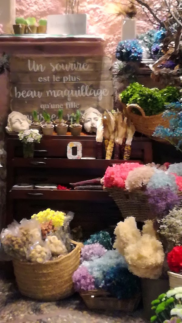 Imagen de María Ponsa Flors (7 de 18)