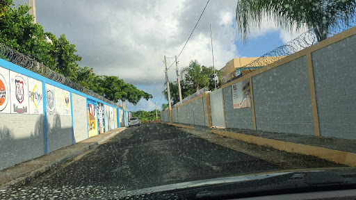 Institutos publicos en Punta Cana