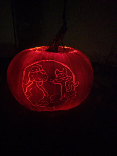 Pet Supply Store «Wags To Wiskers Pet Supplies», reviews and photos, 2423 W Stadium Blvd, Ann Arbor, MI 48103, USA