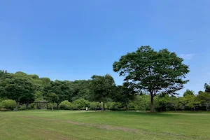 Chiba Prefectural Otaki Prefectural Forest image