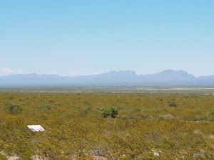 Chihuahuan Desert Nature Park - photo 83