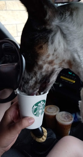 Coffee Shop «Starbucks», reviews and photos, 9150 Calumet Ave, Munster, IN 46321, USA