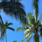Photo n° 5 de l'avis de Jean.o fait le 09/03/2023 à 19:44 pour Agence Promovacances Tours à Tours