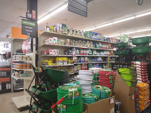 Hardware Store «Great Lakes Ace Hardware», reviews and photos, 600 Frandor Ave, Lansing, MI 48912, USA