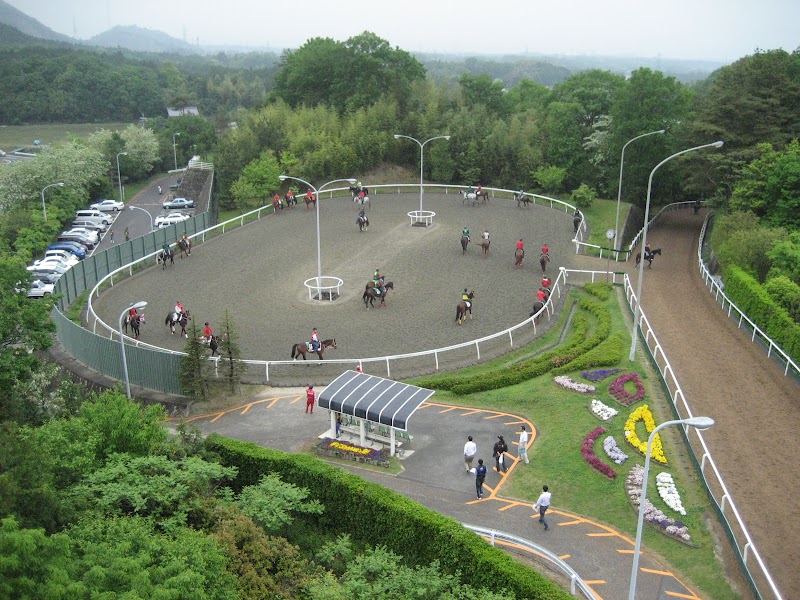 Jra栗東トレーニングセンター 滋賀県栗東市御園 馬小屋 馬飼育場 グルコミ