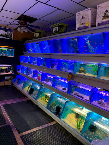 Pet Supply Store «Aquariums and Reptiles», reviews and photos, 11400 S Cleveland Ave, Fort Myers, FL 33907, USA