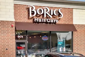 BoRics image