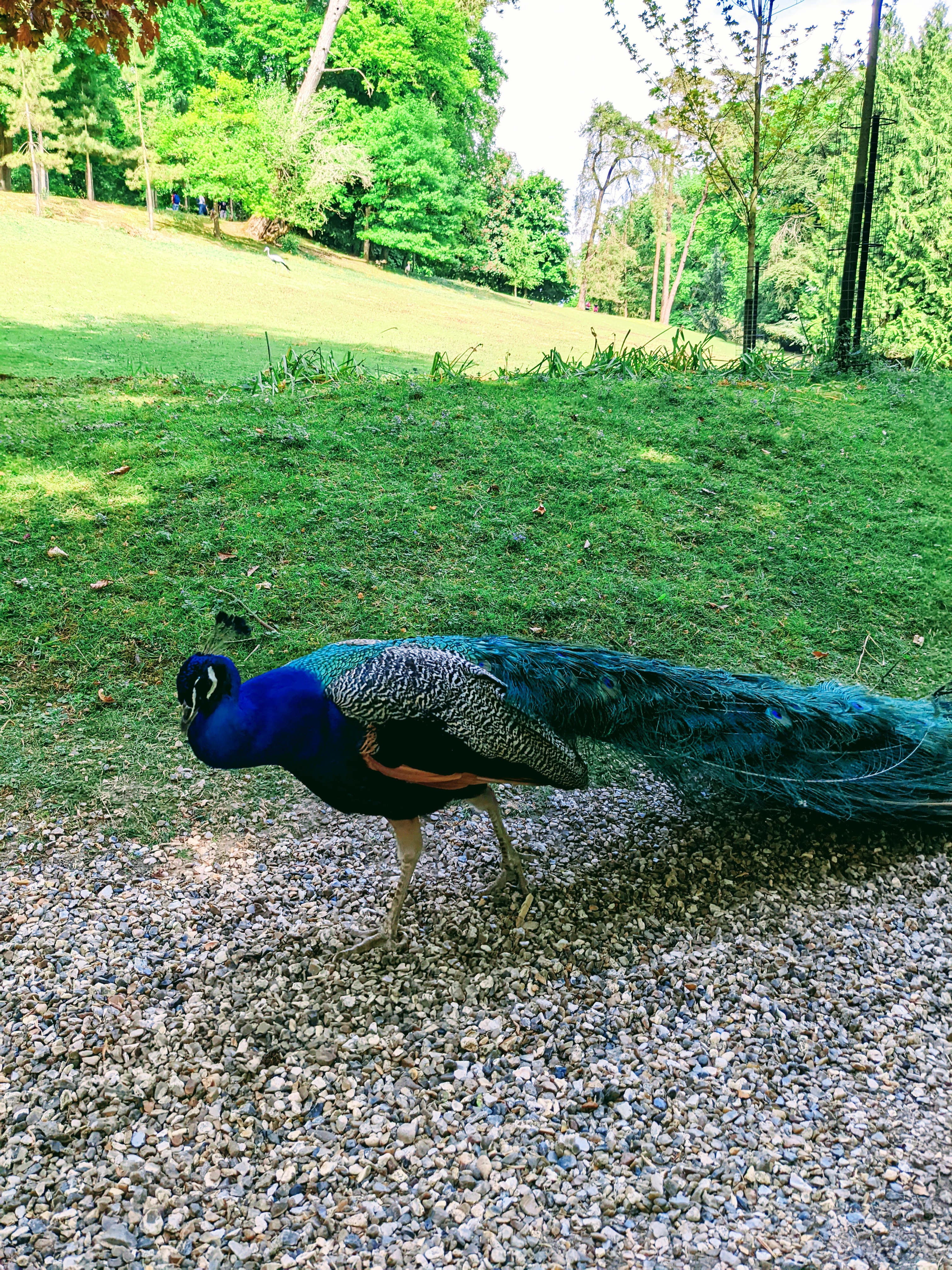 Photo n° 2 de l'avis de Marie.h fait le 27/01/2023 à 20:54