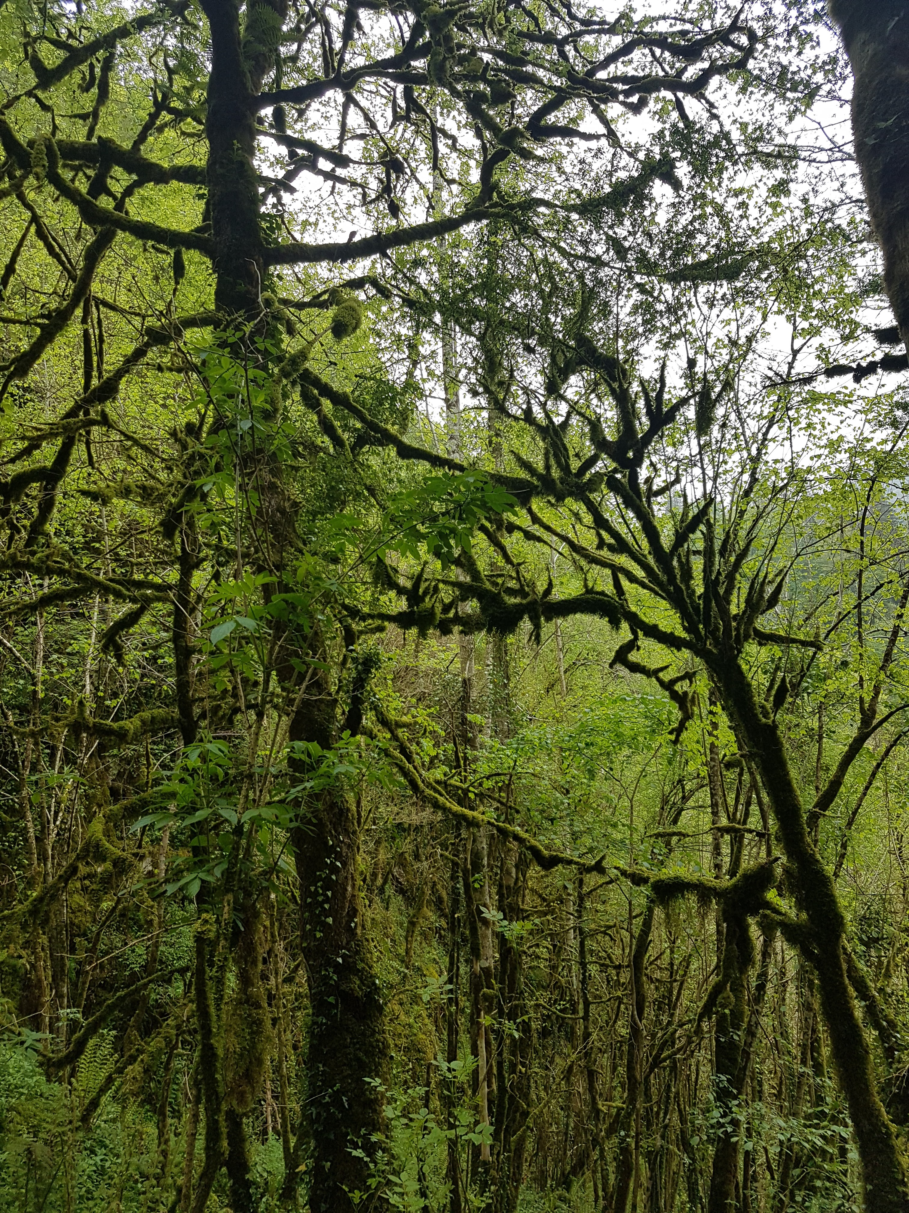 Photo n° 1 de l'avis de Orso.a fait le 02/05/2019 à 16:08