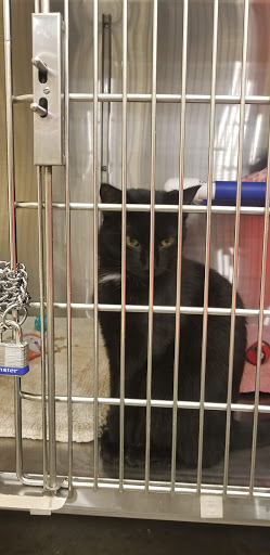 Pet Supply Store «PetSmart», reviews and photos, 1705 Mall of Georgia Blvd, Buford, GA 30519, USA