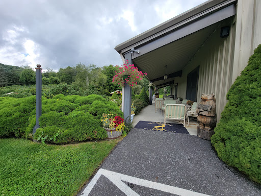 Winery «Banner Elk Winery & Villa», reviews and photos, 60 Deer Run Rd, Banner Elk, NC 28604, USA