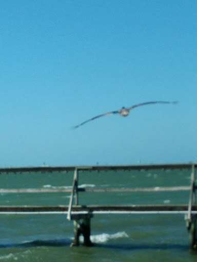 Tourist Attraction «Rockport Pier», reviews and photos, 1298 E Market St, Rockport, TX 78382, USA