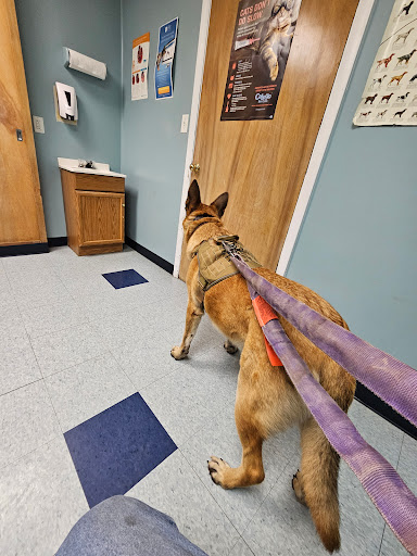 Morris Veterinary Hospital, PC image