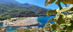 Photo de Porto beach zone sauvage
