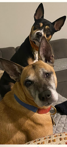 Insurance Agency «Beau Sharpe - State Farm Insurance Agent», reviews and photos