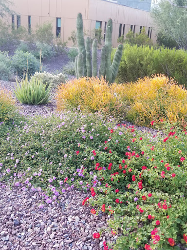 Museum «Musical Instrument Museum», reviews and photos, 4725 E Mayo Blvd, Phoenix, AZ 85050, USA