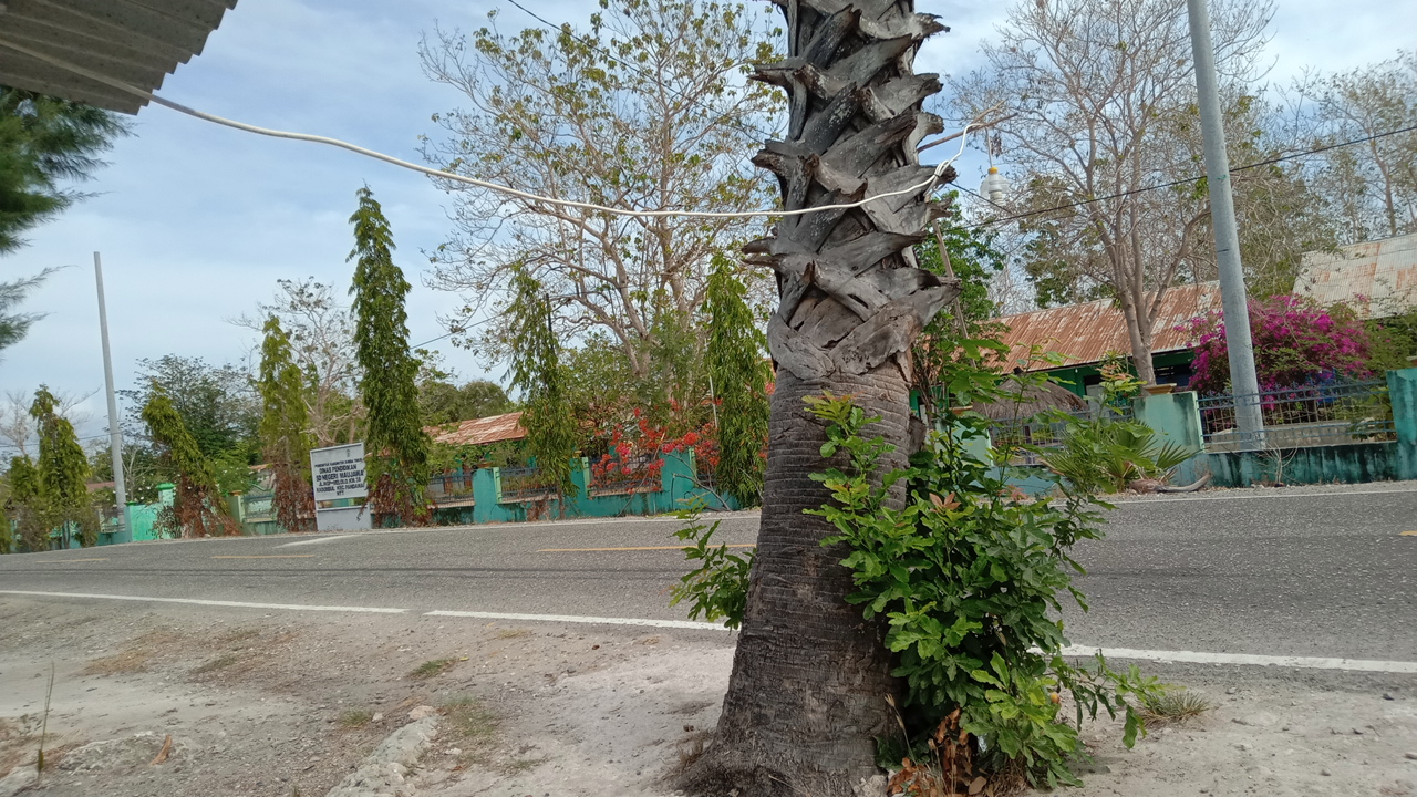 Foto SD  Negeri Maujawa, Kab. Sumba Timur