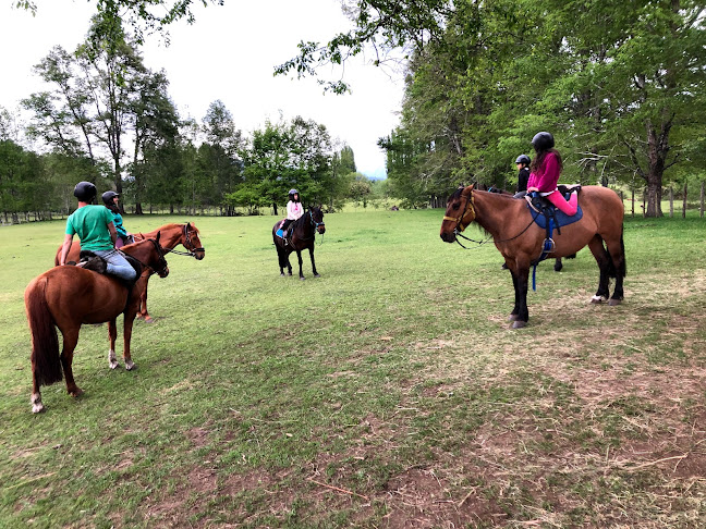 Cabalgatas y Equinoterapia Alma Equina Pucon - Pucón