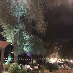 Photo n°5 de l'avis de Erica.' fait le 08/10/2023 à 07:32 sur le  Giardino Duca di Serradifalco à Palermo