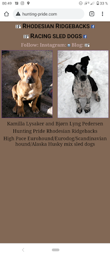 Dog breeders in Oslo