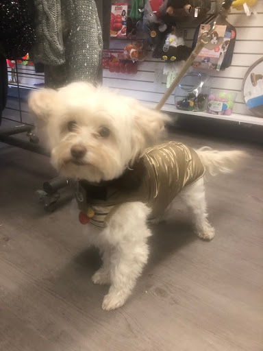 Pet Supply Store «Sonoma Pet and Aquatics», reviews and photos, 201 W Napa St #7, Sonoma, CA 95476, USA