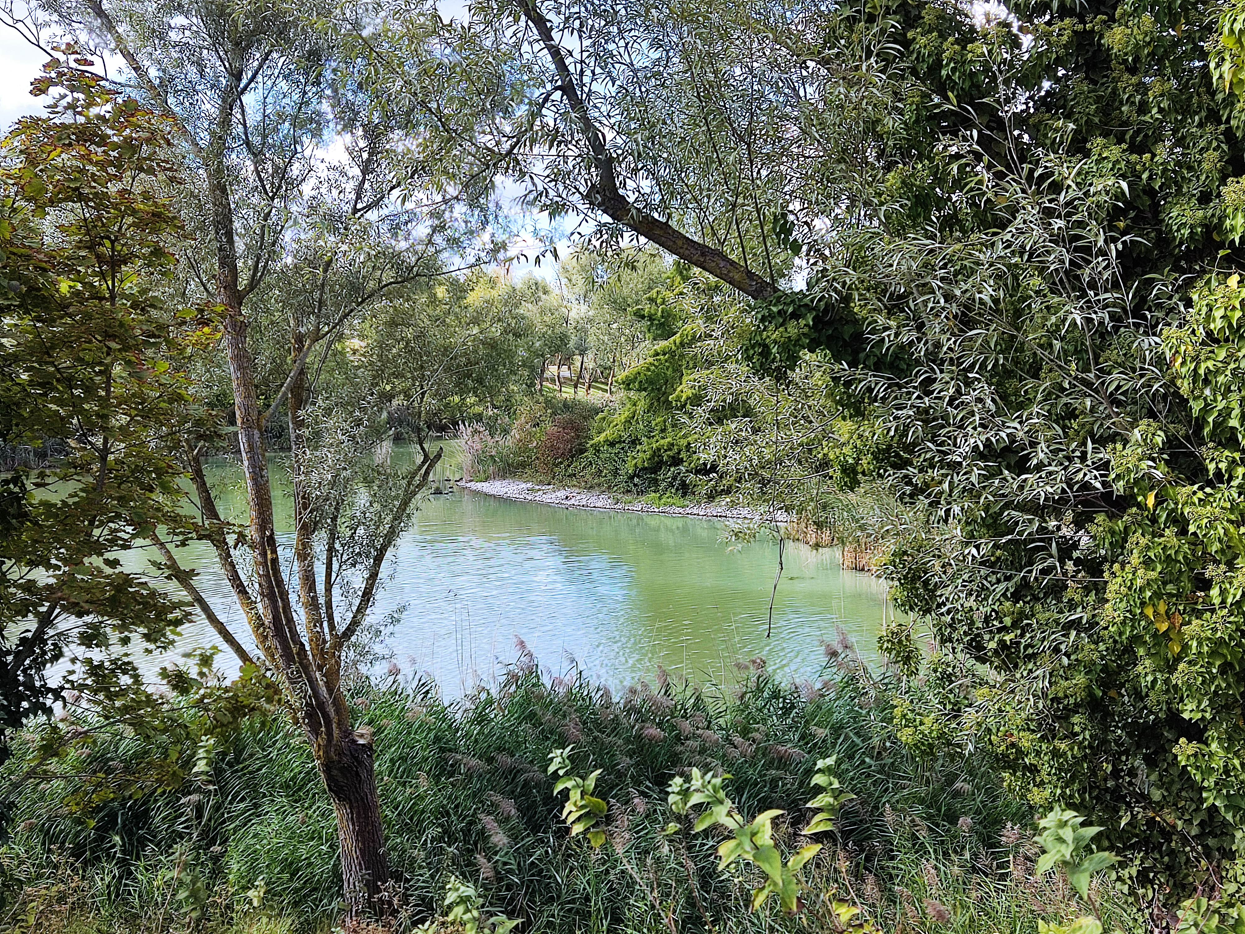 Photo n° 19 de l'avis de julien.a fait le 10/07/2021 à 07:26