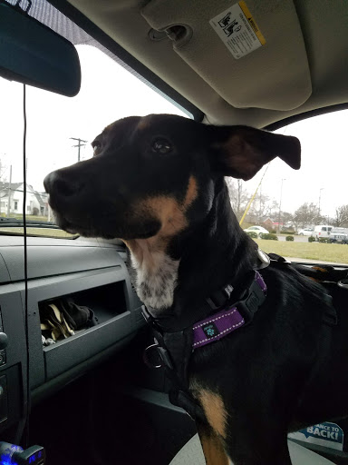 Animal Shelter «HELP the Animals, Inc», reviews and photos, 2101 W Main St, Richmond, IN 47374, USA