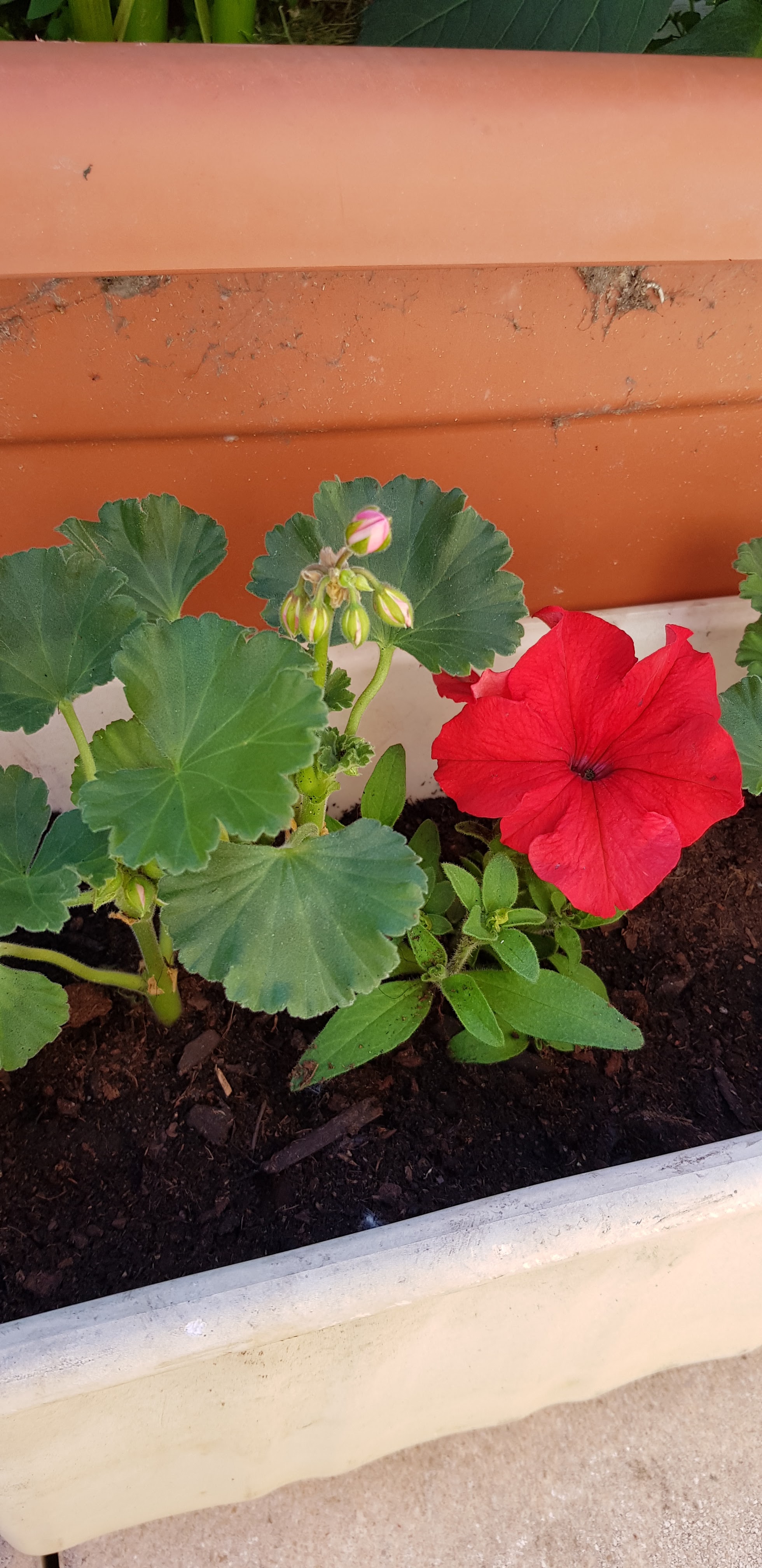 Photo n° 4 de l'avis de Philippe.u fait le 01/06/2019 à 15:28