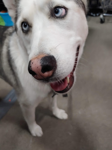 Home Improvement Store «The Home Depot», reviews and photos, 2927 Market Pl, Onalaska, WI 54650, USA