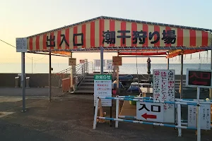 Futtsu Coast Clam Digging Place image