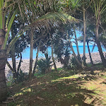 Photo n° 2 de l'avis de Guy.R fait le 01/12/2021 à 16:21 pour L' Auberge Créole à Saint-Benoît