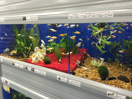 Pet Supply Store «Pet Supermarket», reviews and photos, 2800 Raeford Rd, Fayetteville, NC 28303, USA