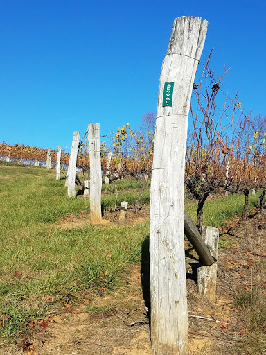 Vineyard «Linville Falls Winery», reviews and photos, 9557 Linville Falls Hwy, Newland, NC 28657, USA