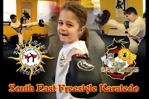 SEF Karate image