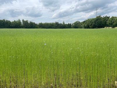 Sagestimm à Bihorel
