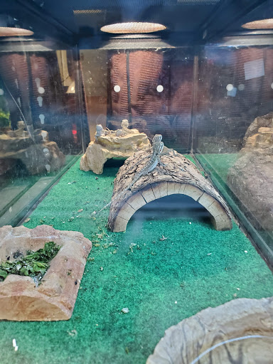 Pet Store «Pet Advantage», reviews and photos, 350 Dorset St # 1, South Burlington, VT 05403, USA