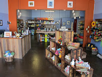 NoPo Paws - Photo 1 - Car repair in Portland, OR, Portland