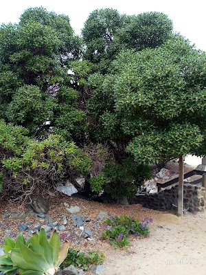 San Clemente Beach Trail - photo 70