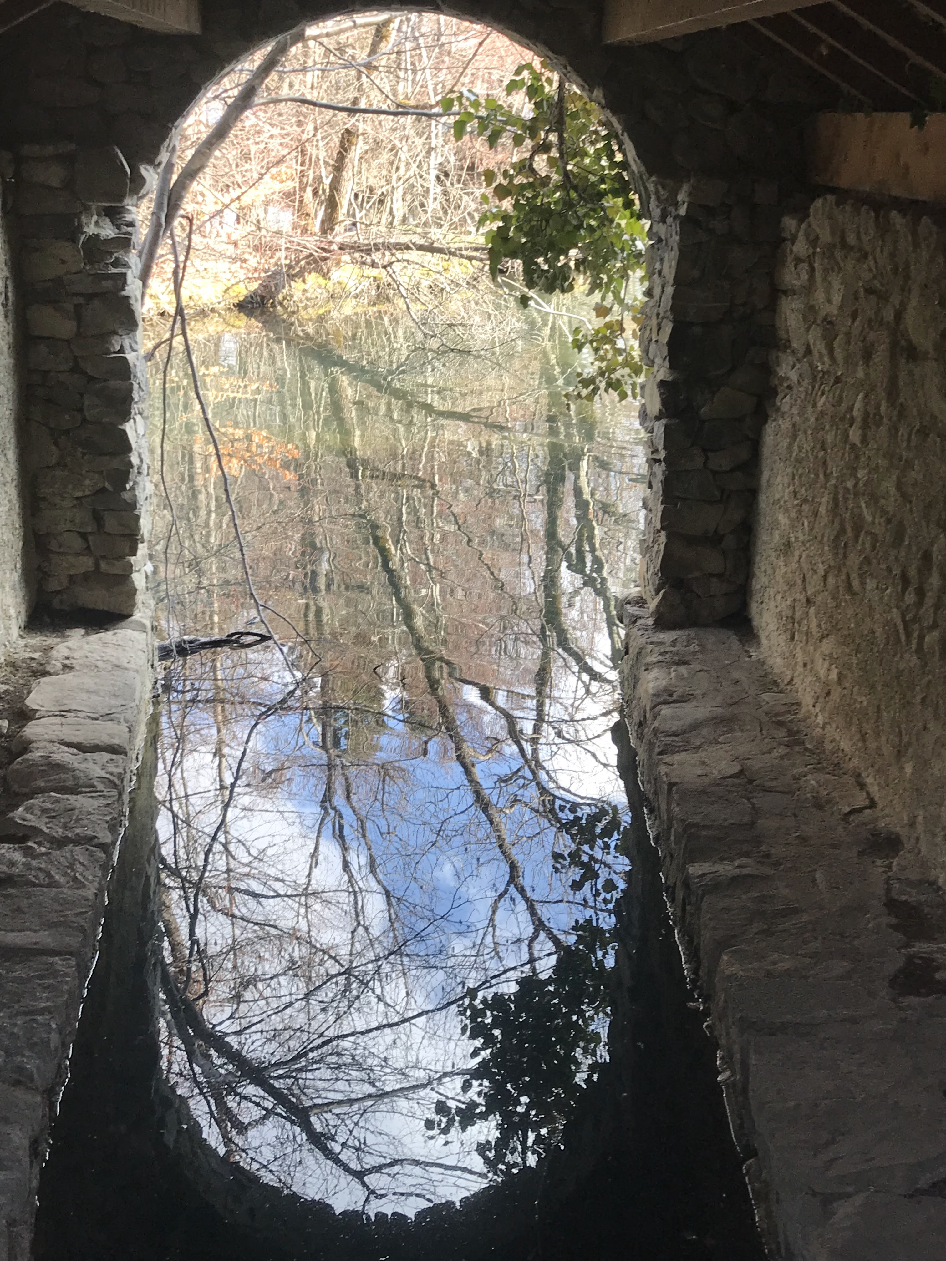 Photo n° 11 de l'avis de Catherine.a fait le 25/03/2018 à 15:10