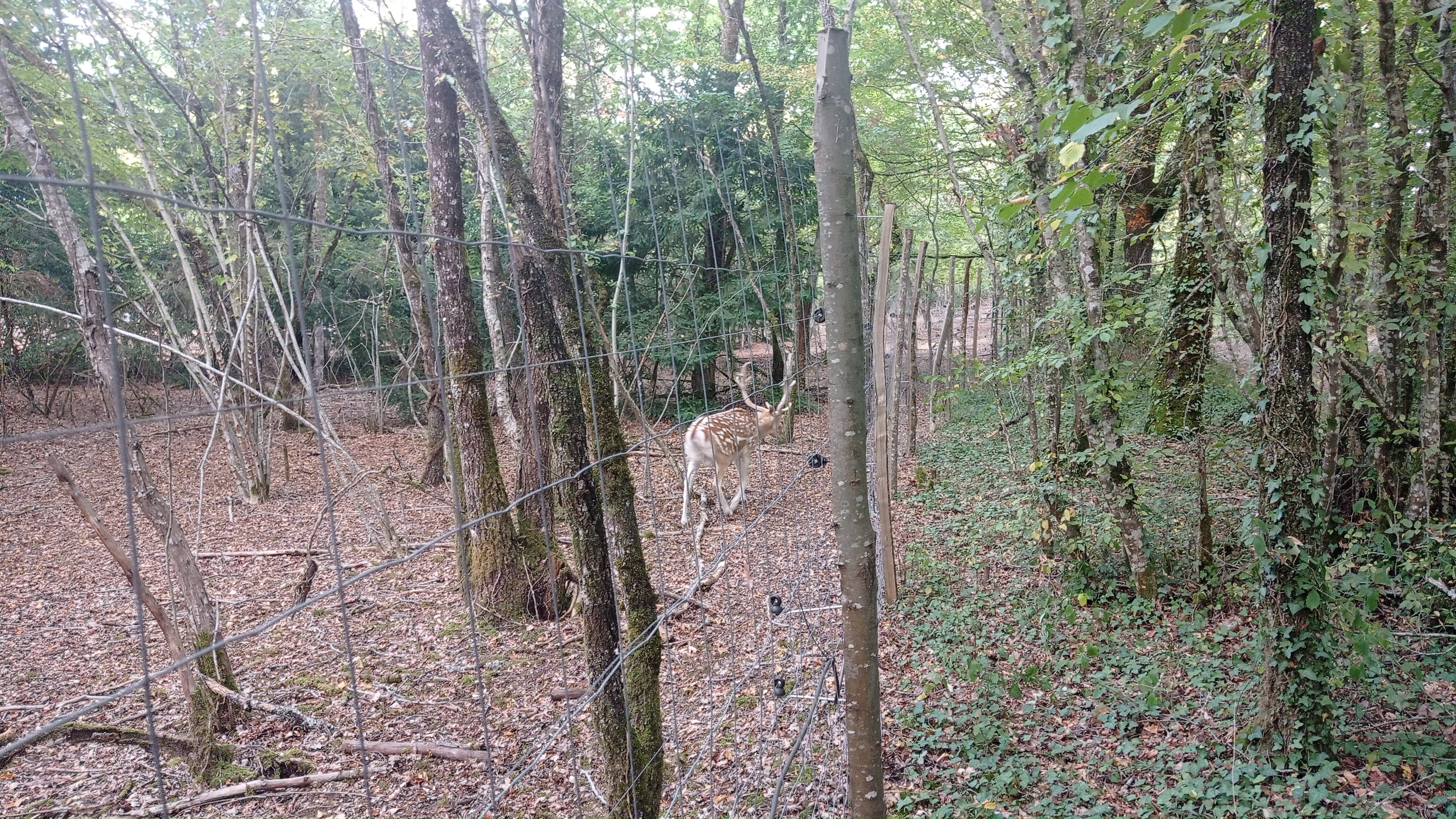 Photo n° 10 de l'avis de alain.o fait le 23/08/2022 à 08:56