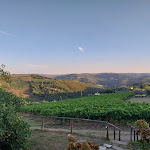 Photo n°5 de l'avis de Lana.a fait le 03/09/2023 à 18:57 sur le  La Cantinetta Di Rignana à Greve in Chianti