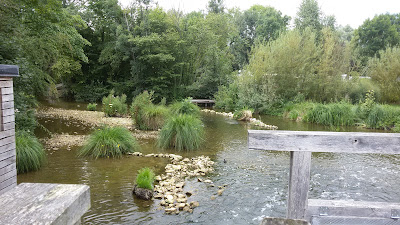 Marais de Vaux à Éclusier-Vaux