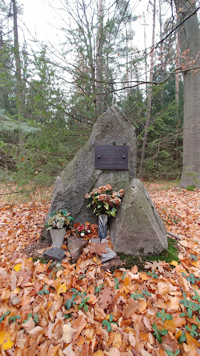 Pomník vojáka Rudé armády, Nikolaje Andrejeviče Žukova
