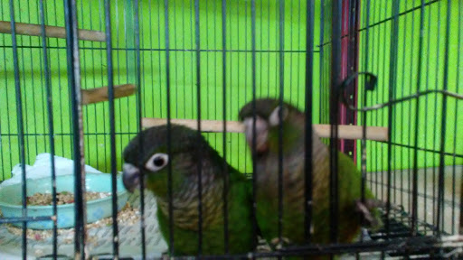 Pet Store «World Wide Pets», reviews and photos, 1307 Fayetteville Rd, Van Buren, AR 72956, USA