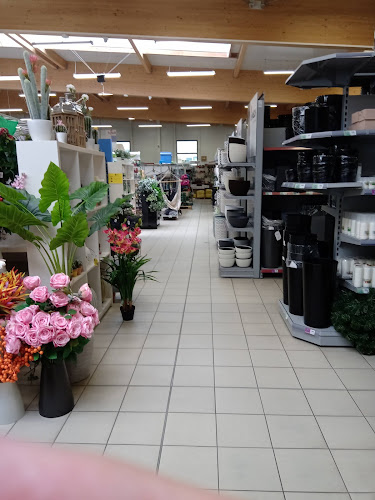 Zielona Galeria - Biała Podlaska