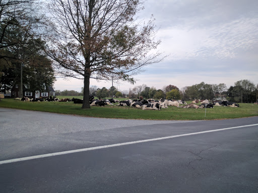 Caterer «Strock Enterprises, Inc.», reviews and photos, 729 Williams Grove Rd, Mechanicsburg, PA 17055, USA